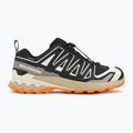 Scarpe da corsa da uomo Salomon XA PRO 3D V9 GTX nero/vanilla ice/curcuma 2