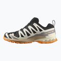 Scarpe da corsa da uomo Salomon XA PRO 3D V9 GTX nero/vanilla ice/curcuma 9