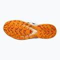 Scarpe da corsa da uomo Salomon XA PRO 3D V9 GTX nero/vanilla ice/curcuma 11
