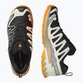 Scarpe da corsa da uomo Salomon XA PRO 3D V9 GTX nero/vanilla ice/curcuma 12