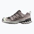 Scarpe da corsa da donna Salomon XA PRO 3D V9 GTX nero/verde patina/viola grigio 9