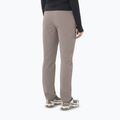 Pantaloni da trekking da donna Salomon Wayfarer Warm iron 2