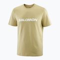 Maglietta da uomo Salomon Logo grigio verde 3
