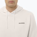 Felpa da uomo Salomon Chest Logo Hoodie whisper white 3