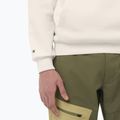 Felpa da uomo Salomon Chest Logo Hoodie whisper white 4