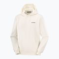 Felpa da uomo Salomon Chest Logo Hoodie whisper white 5