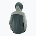 Giacca da sci da uomo Salomon Spectral green gables/sedona 10