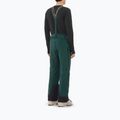 Pantaloni da sci da uomo Salomon Spectral green gables 2