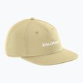 Cappellino con visiera Salomon Logo Flat grigio verde