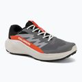 Scarpe da corsa uomo Salomon Alphaglide GTX castlerock/lunar rock