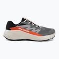 Scarpe da corsa uomo Salomon Alphaglide GTX castlerock/lunar rock 2