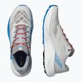 Scarpe da corsa da uomo Salomon Pulsar lunar rock/white/french blue 8
