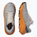 Scarpe da corsa da uomo Salomon Ultra Flow 2 GTX gull/turmeric/white pepper 8