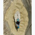 Scarpe da trekking da uomo Salomon Techamphibian 5 rainy day/desert tan/mykonos blue 7