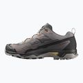 Scarpe da trekking da uomo Salomon X Ultra 5 cloudburst/black/willow 2
