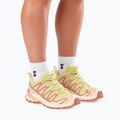Scarpe da running da donna Salomon XA Pro 3D V9 endive/burro/almond cream 6