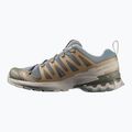 Scarpe da running da uomo Salomon XA Pro 3D V9 sedona sage/plantation/paloma 3