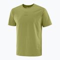 T-shirt da uomo Salomon Trackline cardamon seed 5