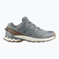 Scarpe da corsa uomo Salomon XA Pro 3D V9 GTX Lifelong sedona sage/coyote brown