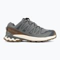 Scarpe da corsa uomo Salomon XA Pro 3D V9 GTX Lifelong sedona sage/coyote brown 2