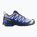 Scarpe da corsa uomo Salomon XA Pro 3D V9 Icon black/brunnera blue