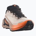Scarpe da corsa donna Salomon Genesis 2 GTX rainy day/desert tan