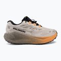 Scarpe da corsa donna Salomon Aero Blaze 4 GRVL GTX rainy day/black 2