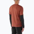 Maglia da corsa da uomo Salomon Sense Aero GFX Tee SS burnt umber/coffee bean 2