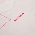 Maglia da corsa da uomo Salomon S\Lab Speed Tee SS lilac ash 3