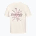 Maglia da corsa da uomo Salomon Shakeout Core GFX SS Tee whisper white/pink frosting 6