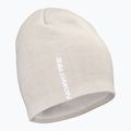 Cappello invernale Salomon Graphic silver cloud