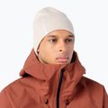 Cappello invernale Salomon Graphic silver cloud 2