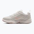 Scarpe da allenamento da uomo Nike Air Monarch IV light bone/spruce aura/sanddrift 2