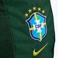 Zaino Nike Academy Brazil 30 l pro green 4