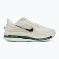 Scarpe da running da donna Nike Pegasus Premium sea glass/malachite/metallic silver 2