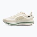 Scarpe da running da uomo Nike Pegasus Premium Pale ivory/jade horizon/black spruce 2