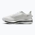 Scarpe da corsa uomo Nike Pegasus Premium photon dust/metallic Silver/black 9
