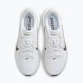 Scarpe da running da uomo Nike Pegasus 42 white/photon dust/black 5