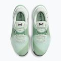 Scarpe da allenamento da donna Nike Metcon 10 barely green/steam/light silver/black 5