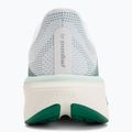 Scarpe da running da donna Nike Pegasus 42 white/malachite/metallic silver 6