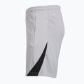 Pantaloncini da calcio uomo Nike Paris Saint-Germain Strike SE atmosphere grey/black/black 8
