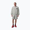 Pantaloncini da uomo Nike Jordan Fleece grey heather/black 2