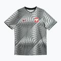 Maglietta da calcio da uomo Nike Dri-Fit Poland Pre-Match 2026 pure platinum/cool grey 3
