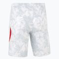 Pantaloncini da calcio da uomo Nike Dri-Fit Poland Stadium Home white/field silver 2