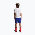 Pantaloncini da calcio per bambini Nike Paris Saint-Germain Dri-Fit Stadium old royal/white 3