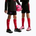Pantaloncini da calcio per bambini Nike Paris Saint-Germain Strike black/hyper royal/global red/global red