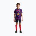 Maglietta da calcio per bambini Nike FC Barcelona Dri-Fit Pre-Match noble red/mineral yellow 3