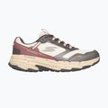 Scarpe da donna SKECHERS Go Run Trail Altitude 2.0 Ravine beige 2