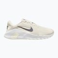 Scarpe da allenamento uomo Nike Flex Train phantom/white/sail/pencil point