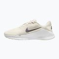 Scarpe da allenamento uomo Nike Flex Train phantom/white/sail/pencil point 2